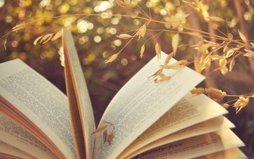 江西自考哪些專業比較容易通過?