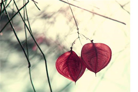 江西自考備考計劃制定參考依據是什么?