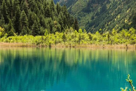 全日制自考好嗎